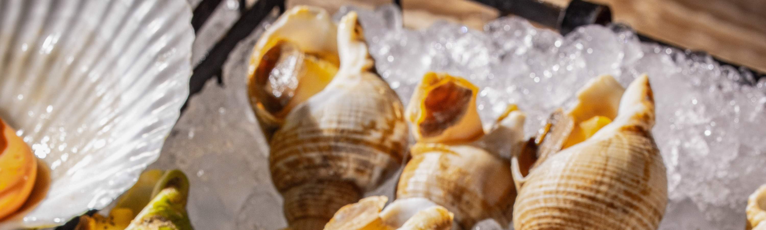 [뷔페 할인] JW 메리어트 호텔 선전 - 뷔페 바우처 카페 시누아 해산물 뷔페 양식 레스토랑 | - 클룩 Klook 한국
